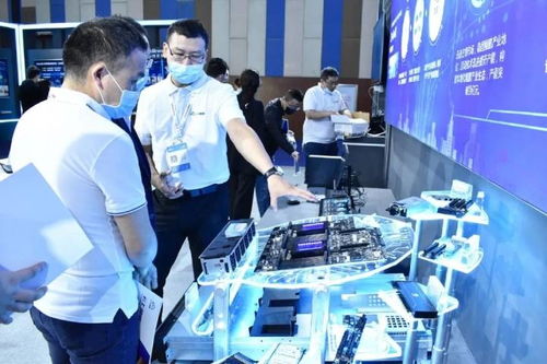 贵州造服务器将亮相2021年服贸会 软件开发的新篇章