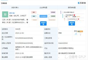 华为加速云布局 5000万设立云计算技术公司，强化数据处理与存储服务