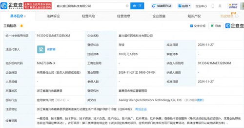 恺英网络在嘉兴投资成立网络科技公司 瞄准软件开发新机遇